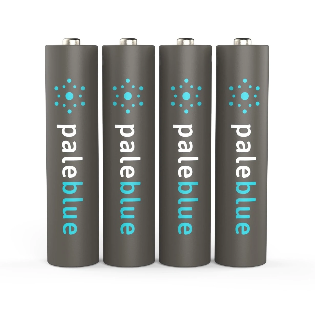 AAA USB-C Rechargeable Batteries