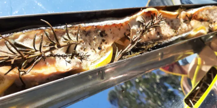 Recette solaire : Saumon rôti au fenouil