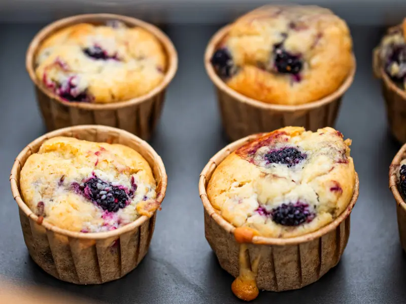 Recette solaire de muffins mûres